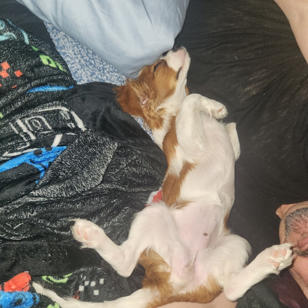 Meet your Posher, Raylene - Picture 7 of 9